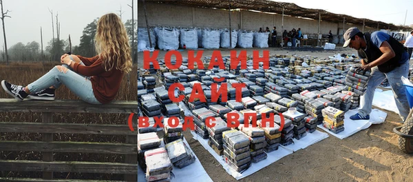 спиды Покачи