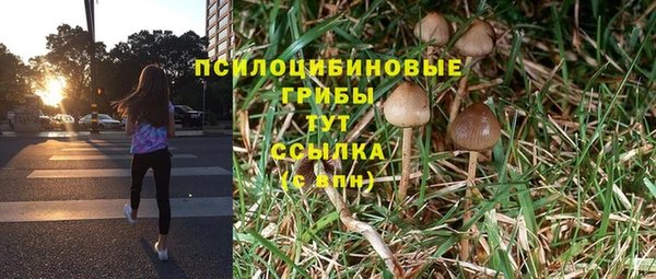 мяу мяу мука Покровск