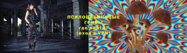 спиды Покачи