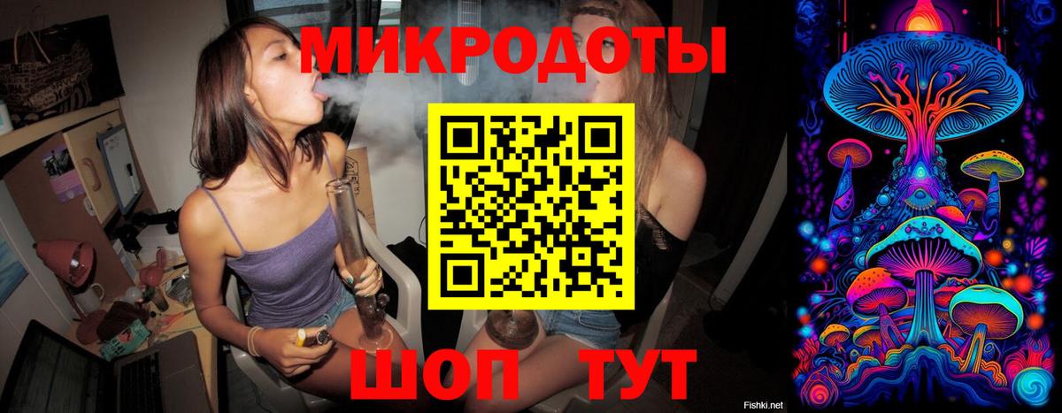 Галлюциногенные грибы Psilocybe  где найти наркотики  Нижний Новгород  Галлюциногенные грибы MAGIC MUSHROOMS 